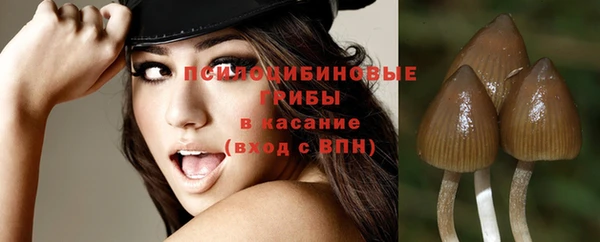 МДМА Дмитровск