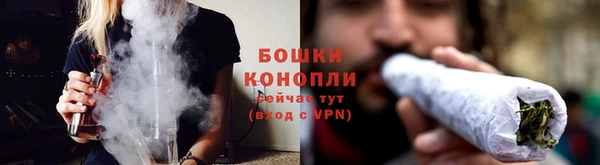 экстази Дмитриев