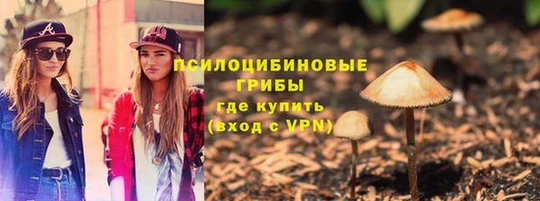 экстази Дмитриев